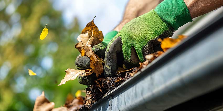 The Ultimate Home Maintenance Checklist for Tampa Homeowners